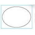 Parking Permit-Oval (Clear Polyester/ Face Adhesive)
